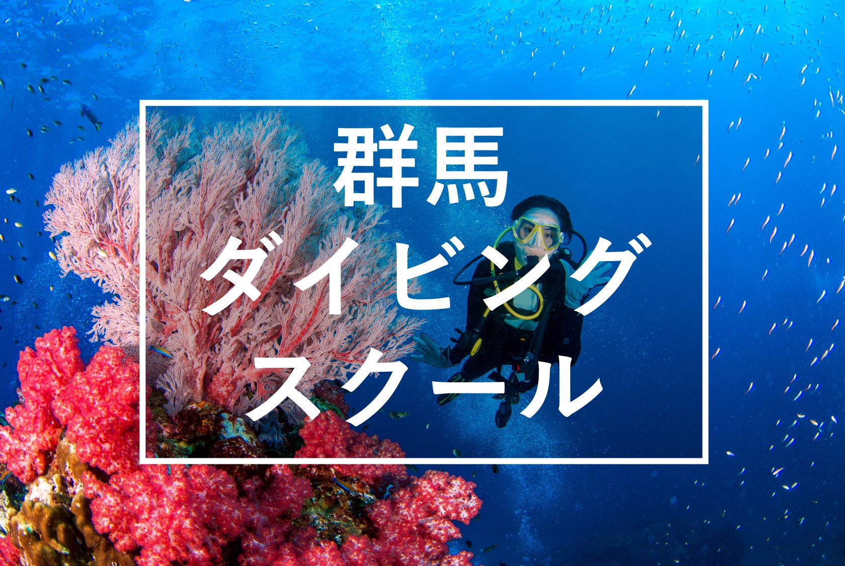 初心者におすすめ 群馬のダイビングスクール7選 年 Vells ヴェルス